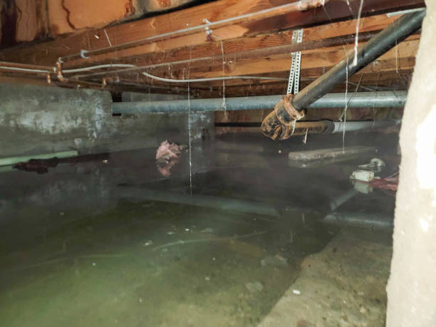 Best Carpet water damage restoration  in Mead Valley, CA