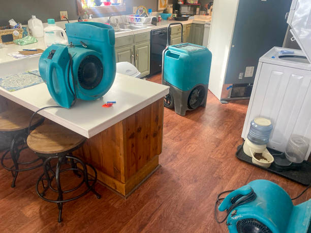 Best Water damage contractors near me  in Mead Valley, CA