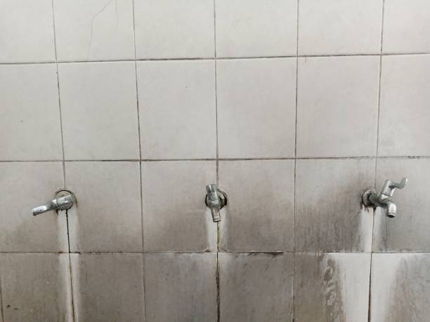 Best Flood damage cleanup  in Mead Valley, CA